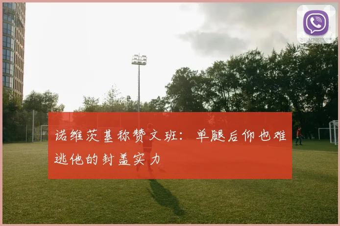 诺维茨基称赞文班：单腿后仰也难逃他的封盖实力