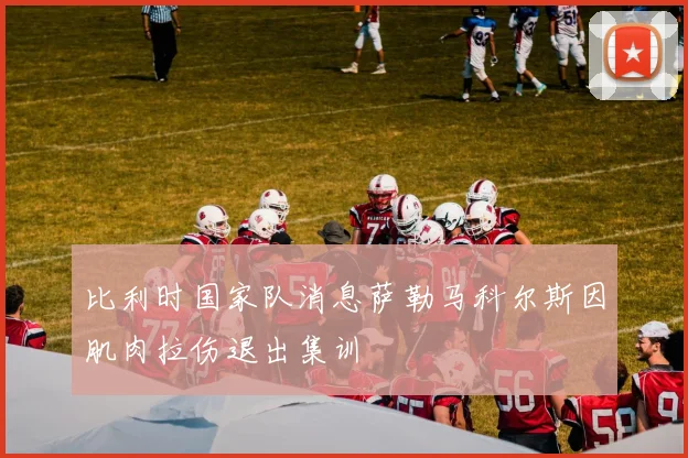比利时国家队消息萨勒马科尔斯因肌肉拉伤退出集训