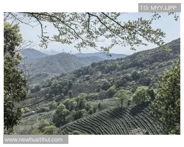 告别武汉三镇的温暖时光感恩这段旅程的每一个瞬间